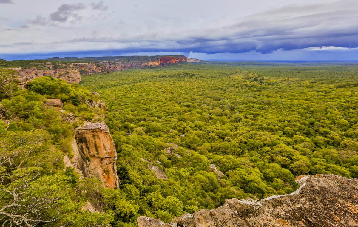Pacotes de Viagem para a Serra da Capivara