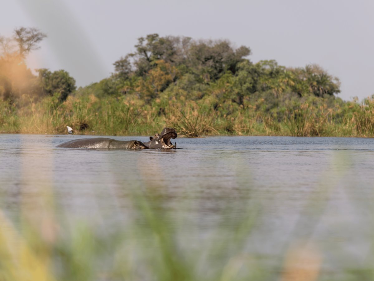 Pacotes de Viagem para Botswana