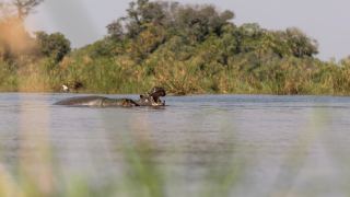 Pacotes de Viagem para Botswana