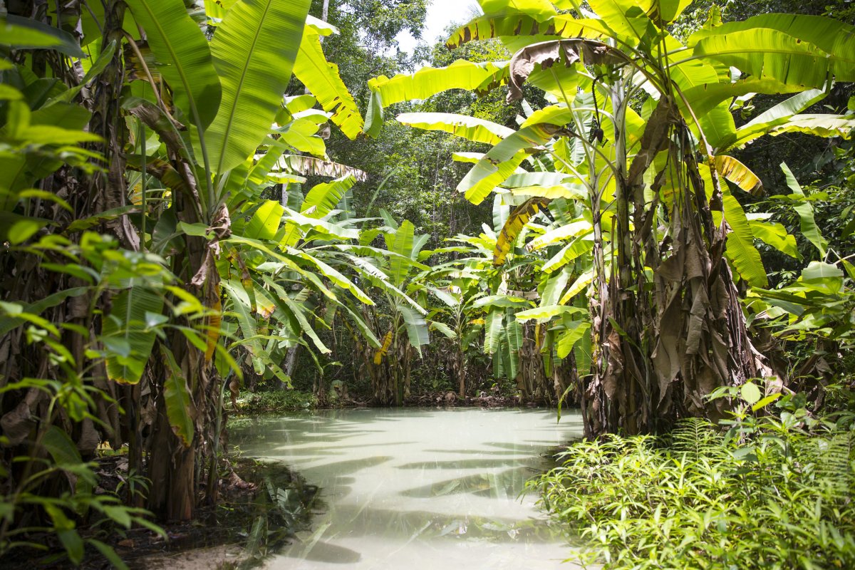 Pacotes de Viagem para o Jalapão no Safari Camp