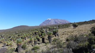 Pacotes de Viagem para a Expedição Kilimanjaro na Tanzânia