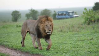 Pacotes de Viagem para Safari na África do Sul