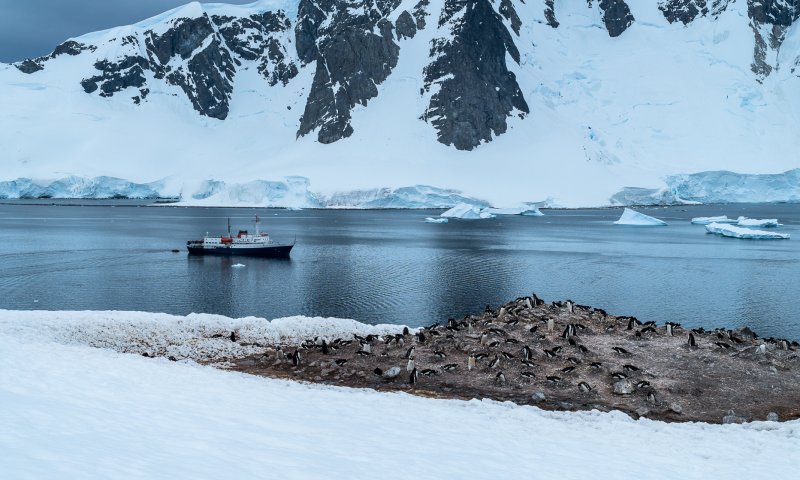 Antártica