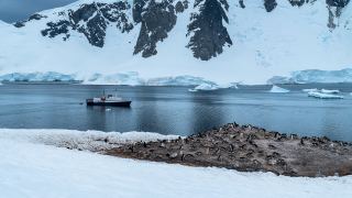 Pacotes de Viagem para Cruzeiro na Antártica
