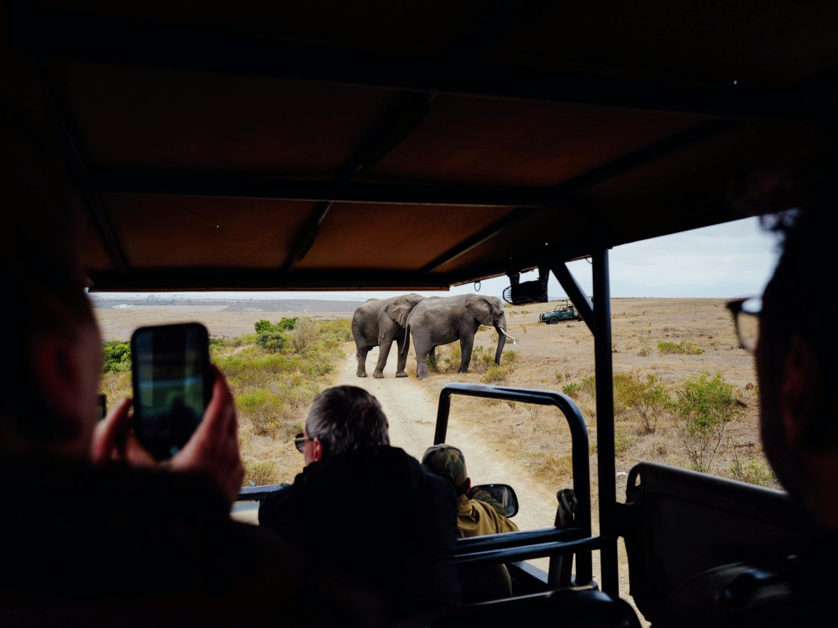 Pacotes de Viagem para Safari na África do Sul
