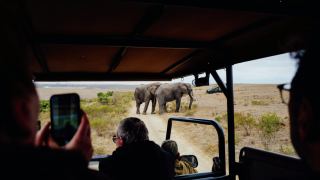Pacotes de Viagem para Safari na África do Sul
