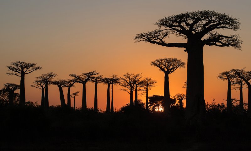 Madagascar