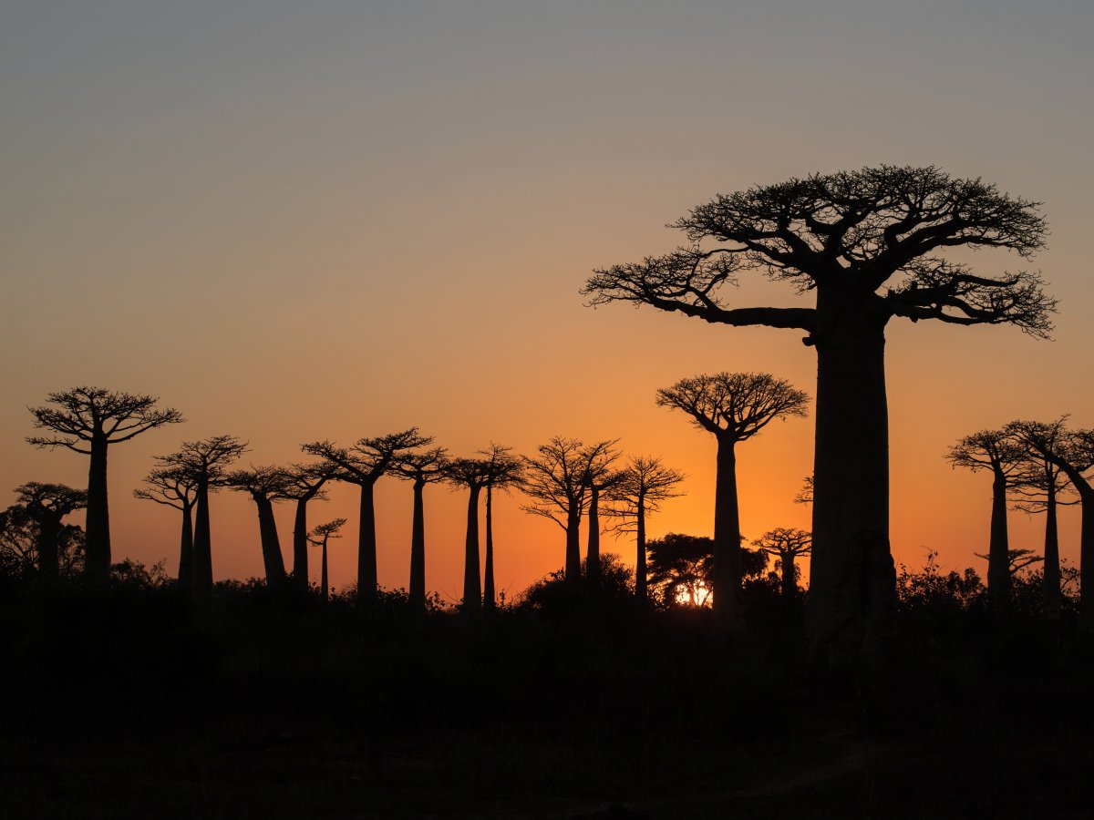 Pacotes de Viagem para Madagascar