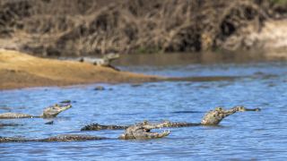 Pacotes de viagem para o Pantanal