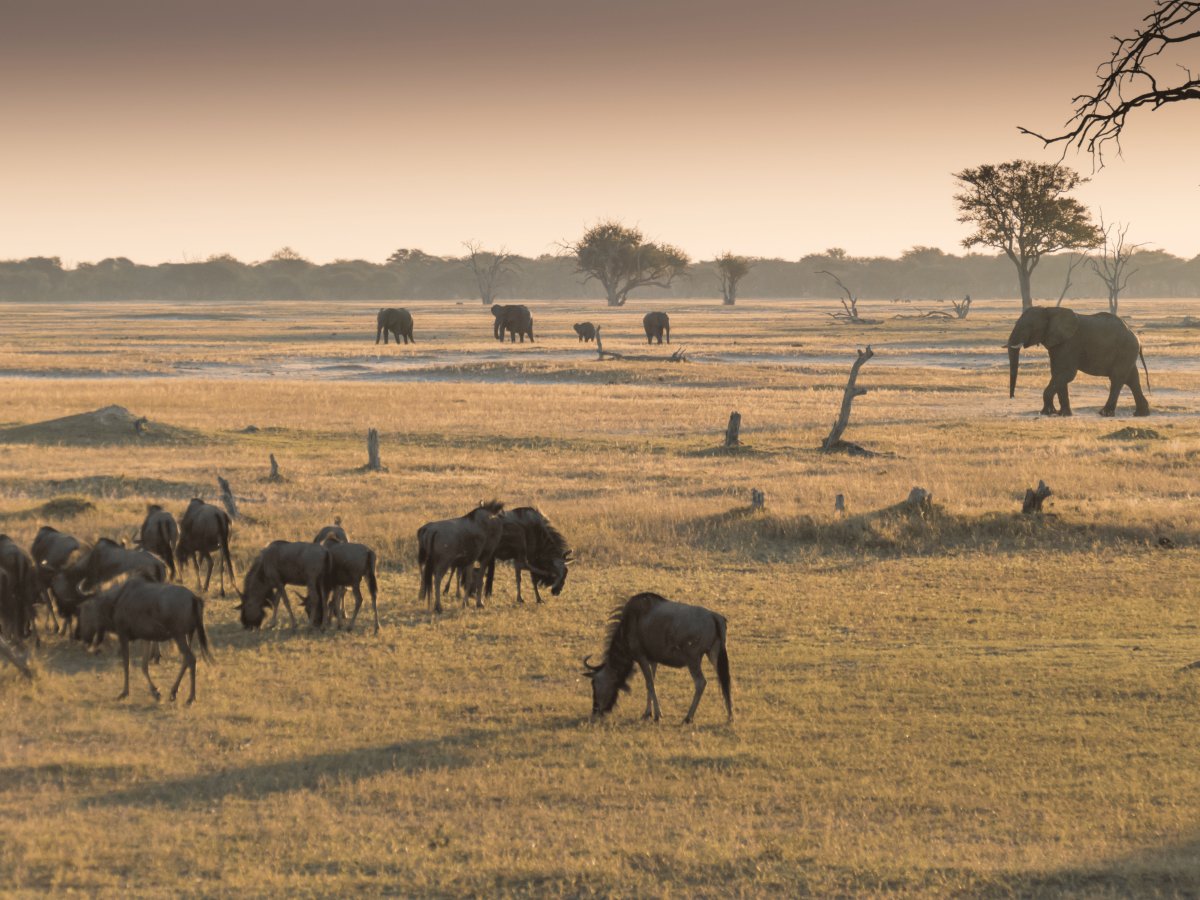 Pacotes de Viagem para Zimbabue