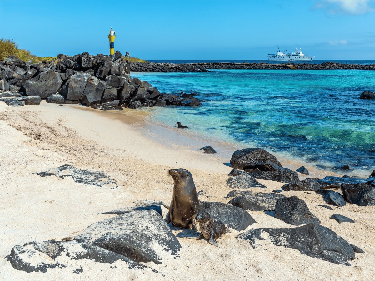 Pacotes de Viagem para Equador com Ilhas Galápagos