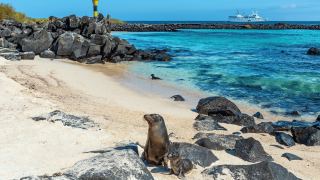 Pacotes de Viagem para Equador com Ilhas Galápagos