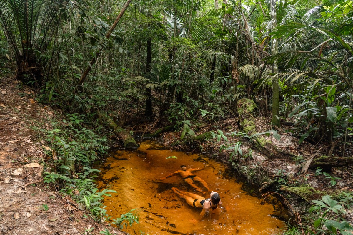 Pacote de Viagem para Amazônia com Vivência Ribeirinha no Baixo Rio Negro
