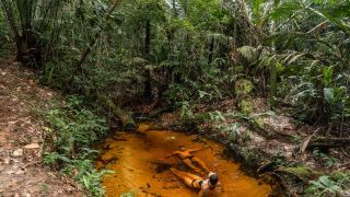 Pacote de Viagem para Amazônia com Vivência Ribeirinha no Baixo Rio Negro