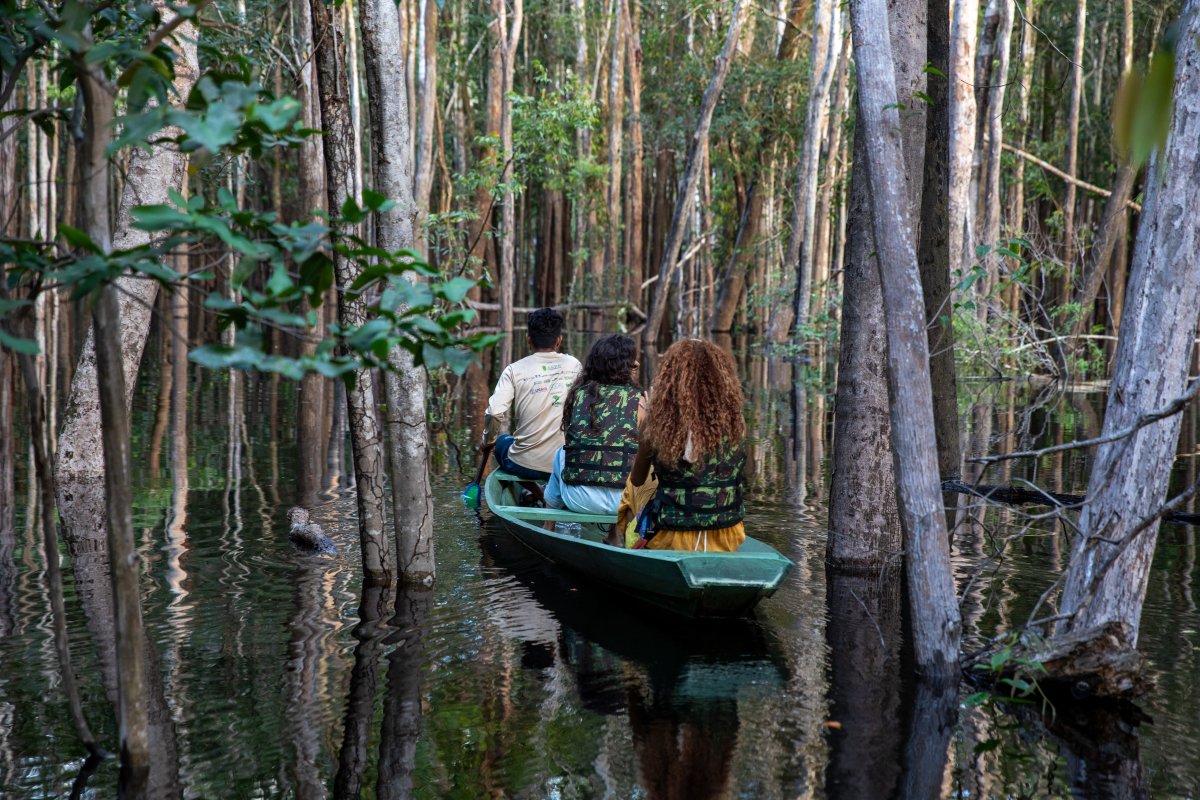 Pacotes de Viagem para Navegação no Rio Negro - Expedições Katerre