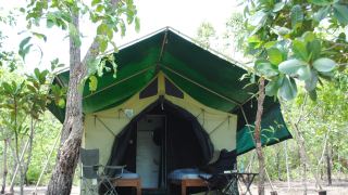 Jalapão Korubo
