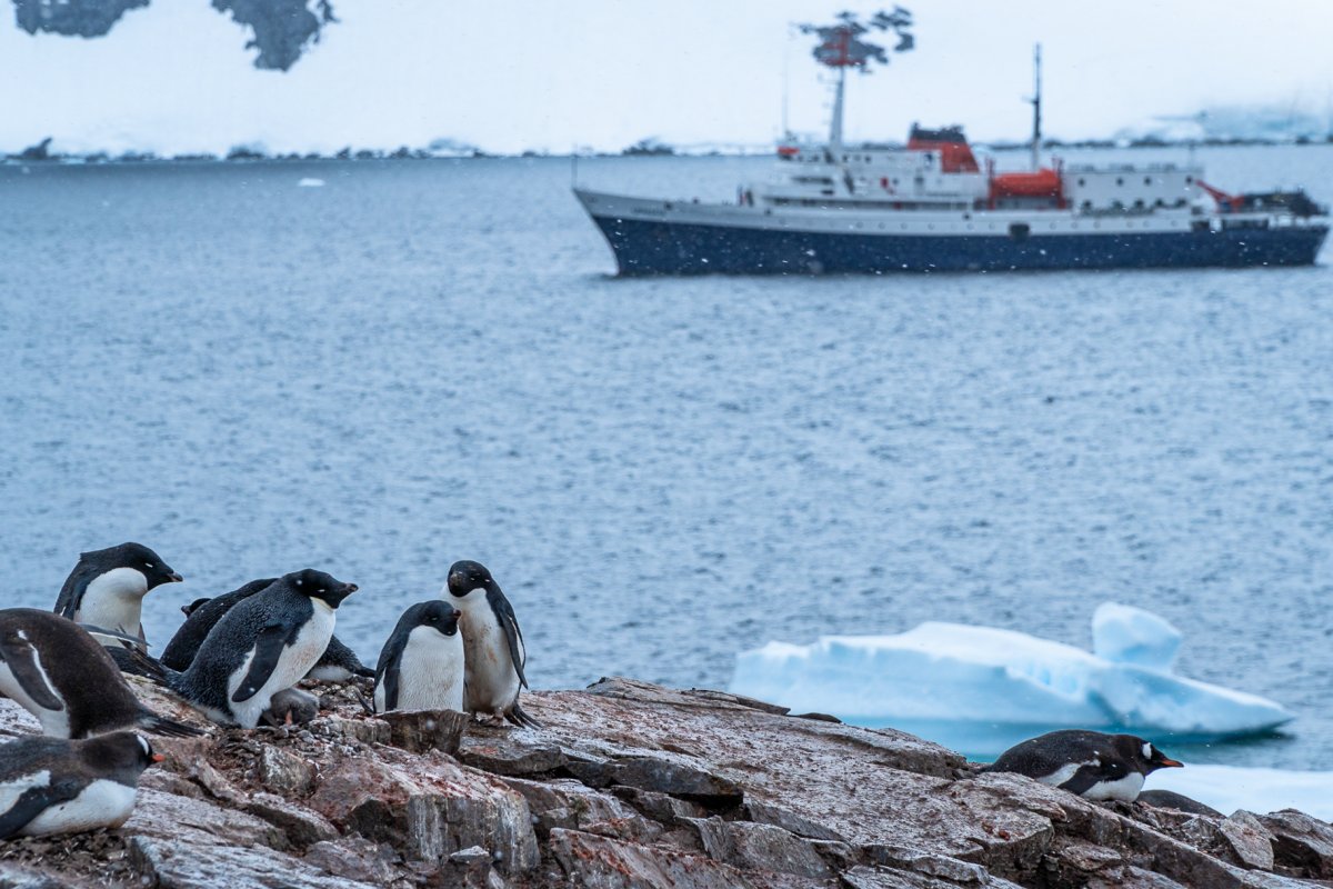 Pacotes de Viagem para Cruzeiro na Antártica