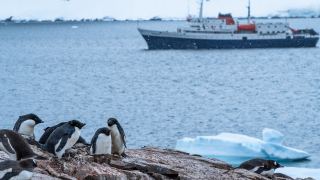 Pacotes de Viagem para Cruzeiro na Antártica