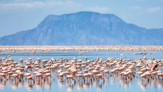 Pacotes de Viagem para Safari na Tanzânia