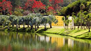 Pacotes de Viagem para Inhotim