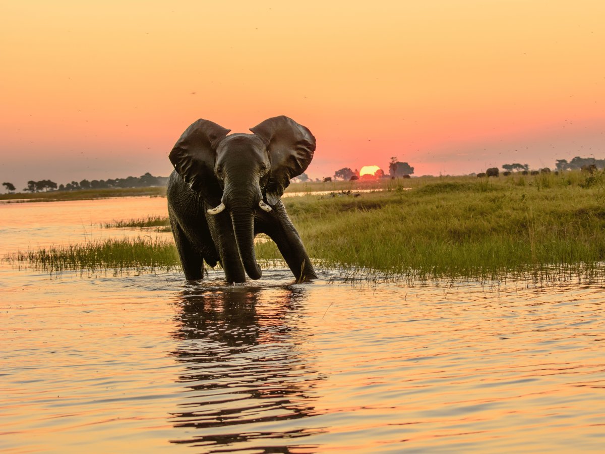 Pacotes de Viagem para Botswana