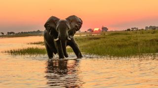 Pacotes de Viagem para Botswana