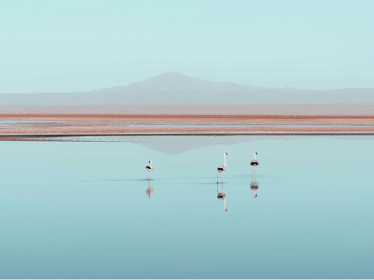 Pacotes de Viagem para o Deserto de Atacama