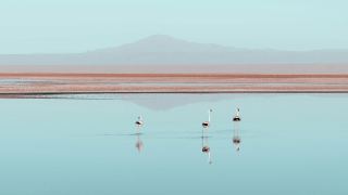 Pacotes de Viagem para o Deserto de Atacama