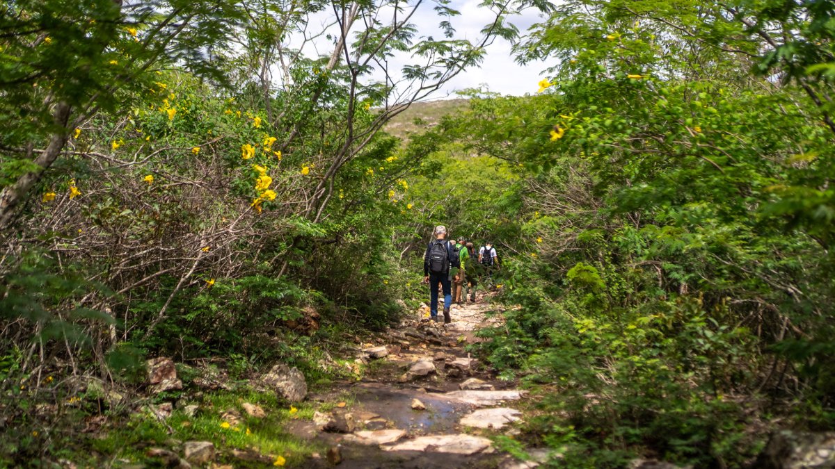 Pacotes de Viagem para a Cordilheira do Espinhaço