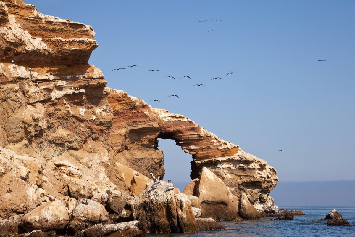 Pacotes de Viagem para as Ilhas Ballestas no Peru