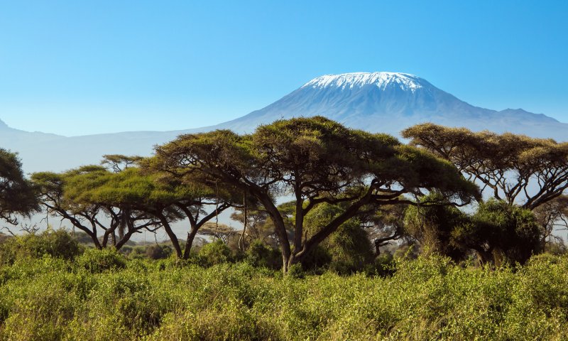 Kilimanjaro