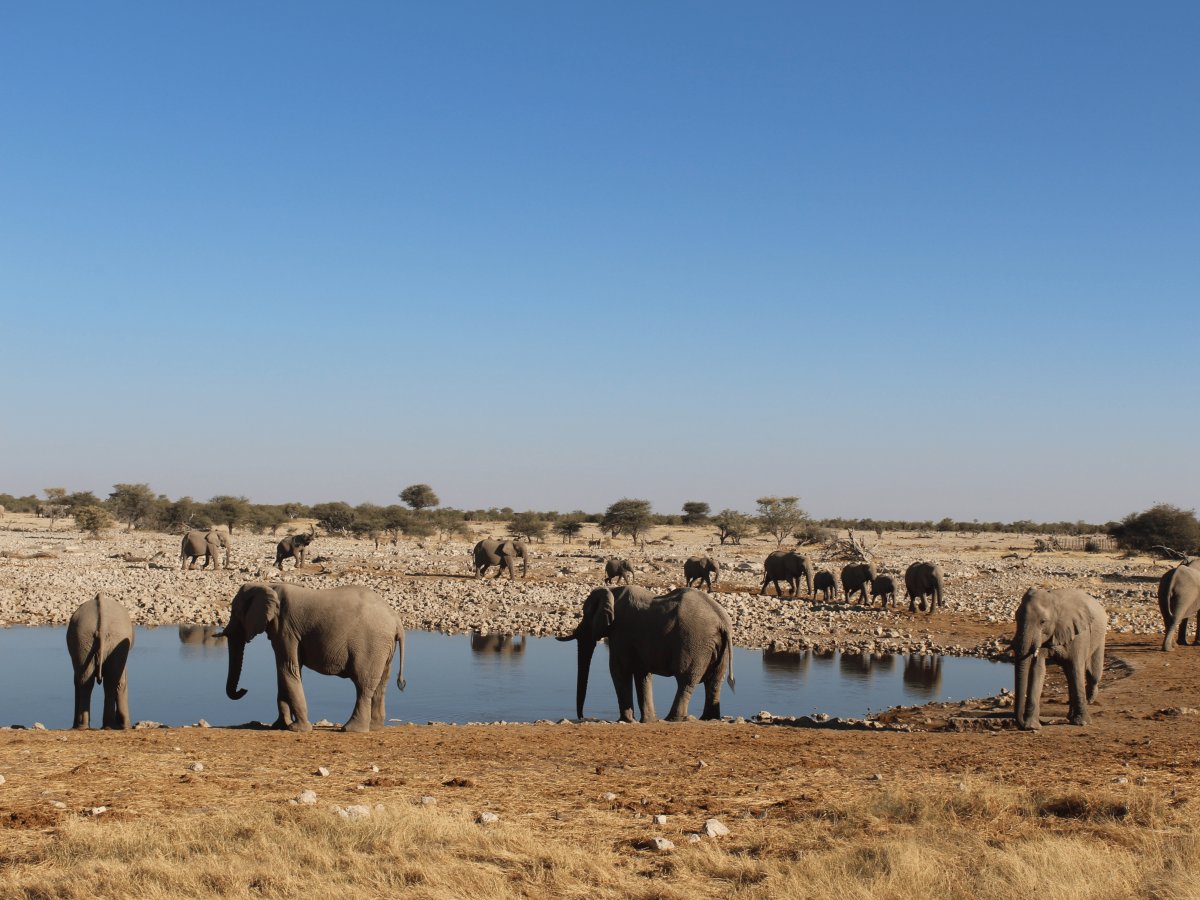 Pacotes de Viagem para Botswana