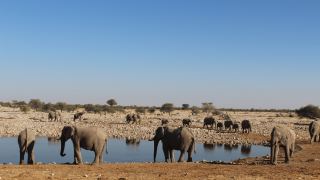Pacotes de Viagem para Botswana