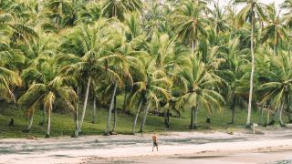Pacotes de Viagem para Itacaré Bahia