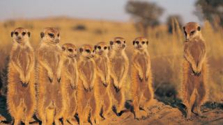 Pacotes de Viagem para Botswana