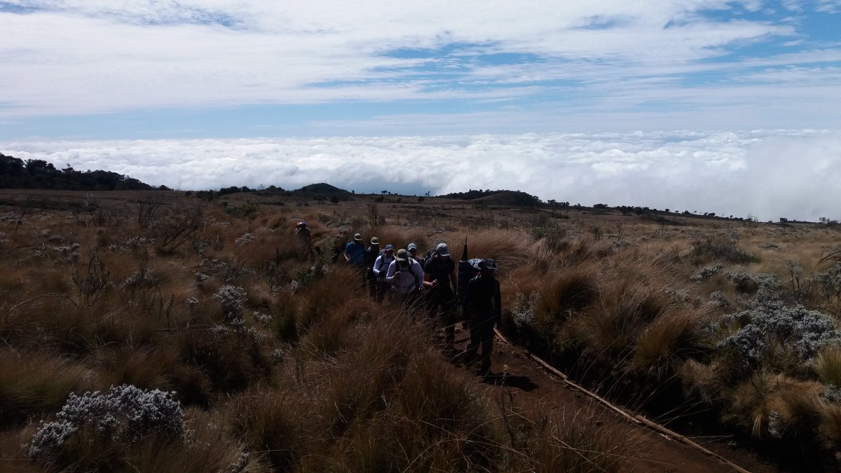 Pacotes de Viagem para a Expedição Kilimanjaro na Tanzânia