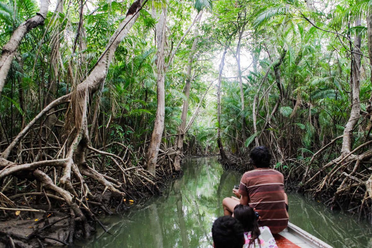 Pacotes de Viagem para Ilha do Marajó Pará