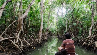 Pacotes de Viagem para Ilha do Marajó Pará