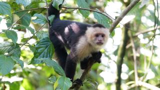 Pacotes de Viagem para Costa Rica