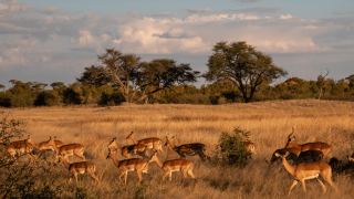 Pacotes de Viagem para Zimbabue