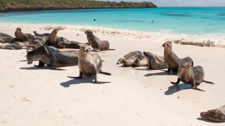 Pacotes de Viagem para Equador com Ilhas Galápagos
