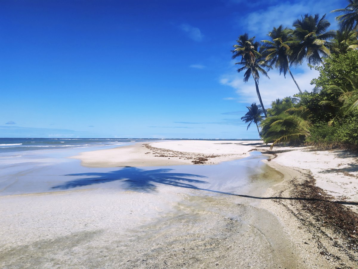 Pacotes de Viagem para a Ilha de Boipeba Bahia