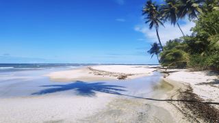 Pacotes de Viagem para a Ilha de Boipeba Bahia