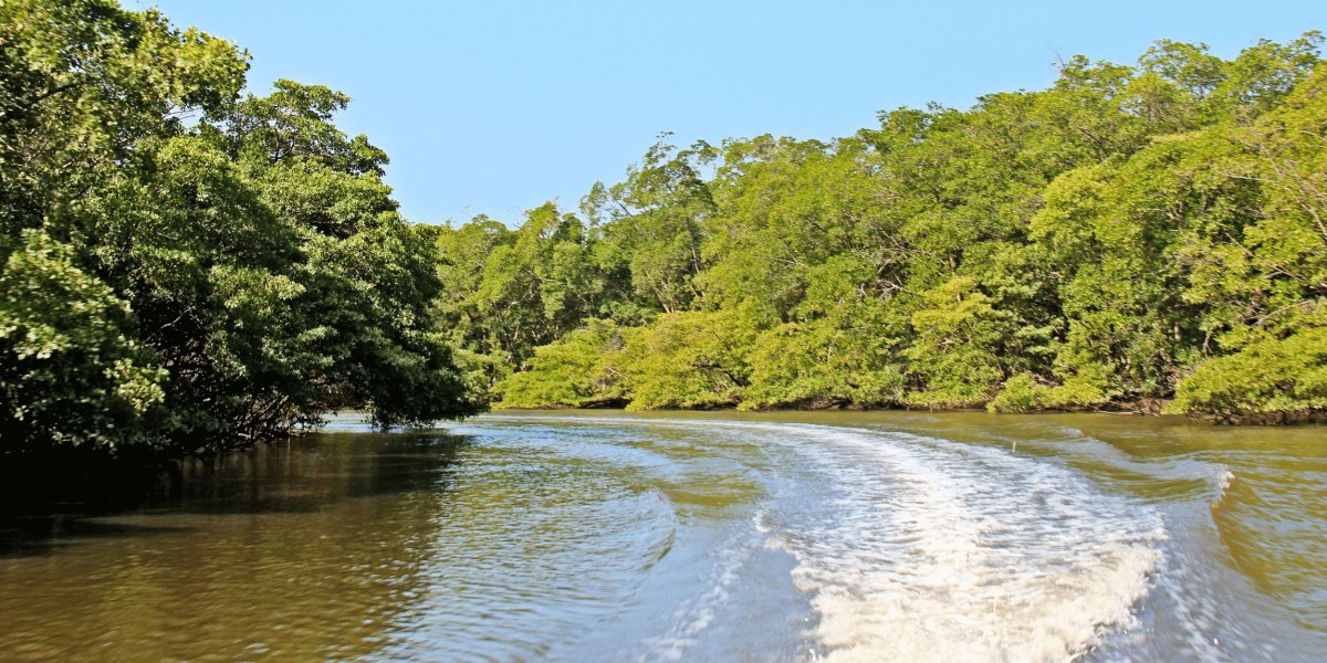 Pacote de Viagem para o Delta do Parnaíba