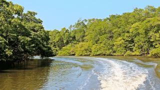 Pacote de Viagem para o Delta do Parnaíba