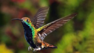 Pacotes de Viagem para Colômbia