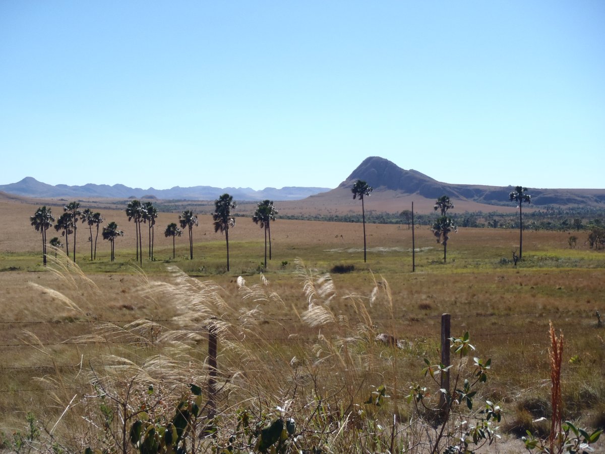 Pacotes de Viagem para a Chapada dos Veadeiros