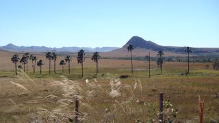 Chapada dos Veadeiros