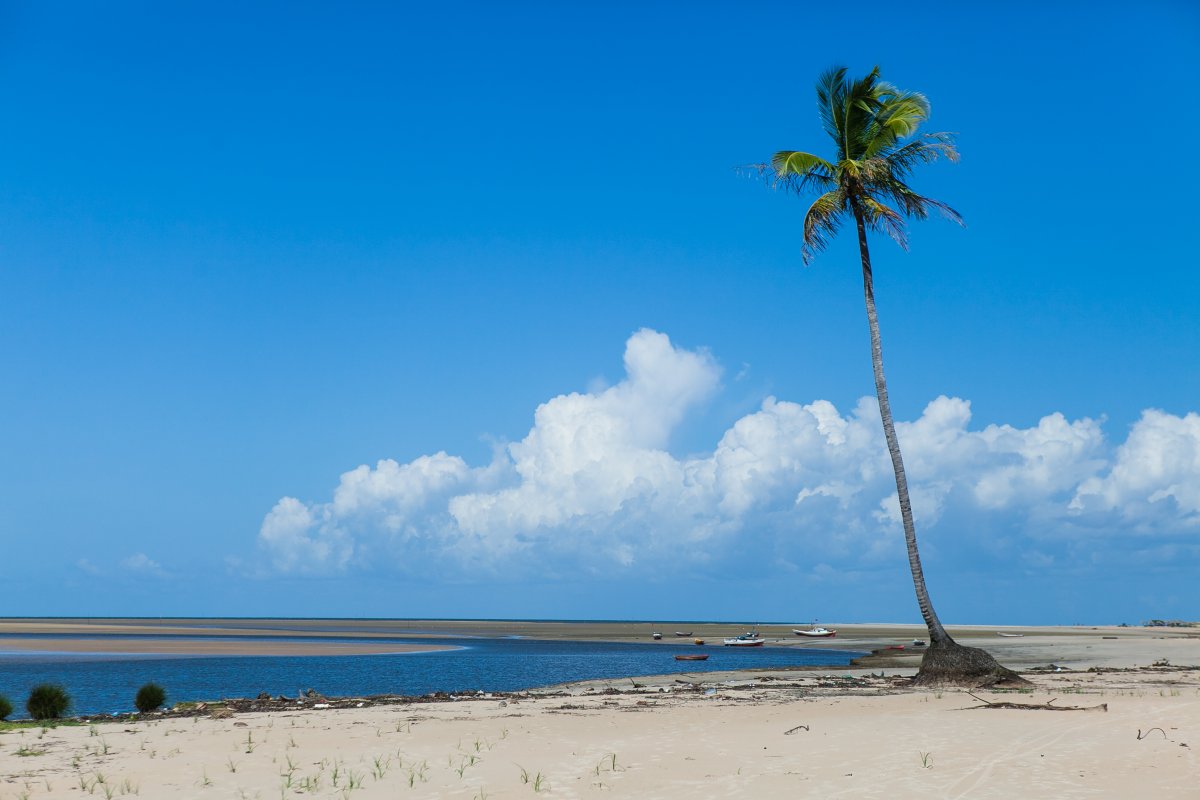 Pacotes de Viagem para Ilha do Marajó Pará