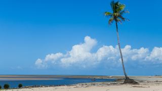 Pacotes de Viagem para Ilha do Marajó Pará